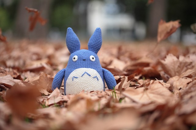 Chu Totoro Chu Totoro