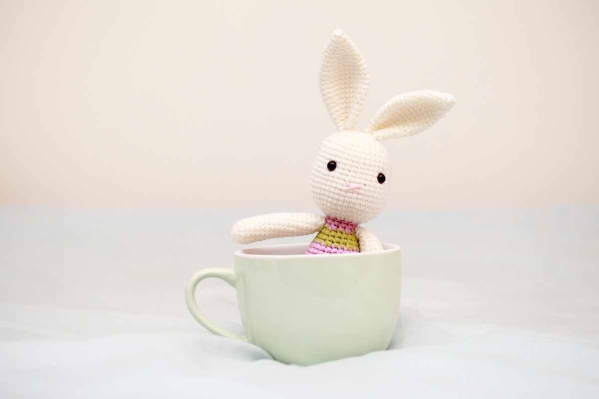 Bella’s Bunny