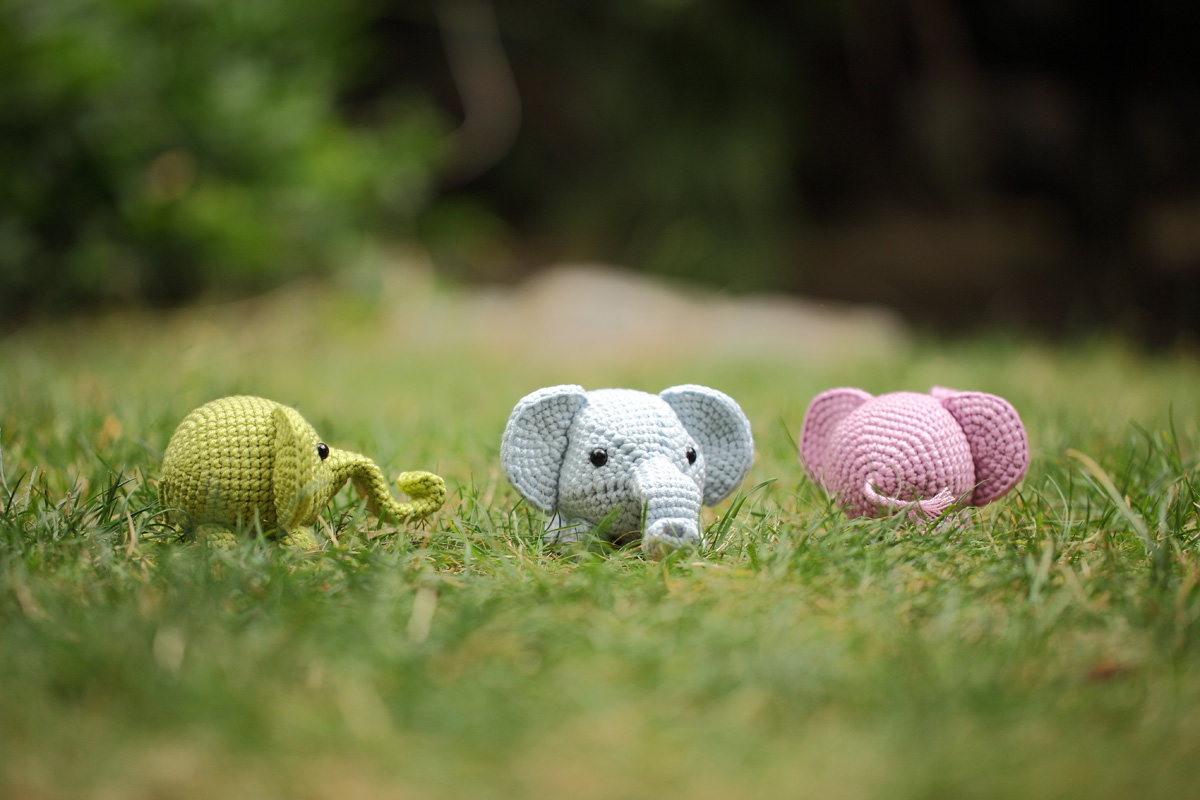 Three Baby Elephants