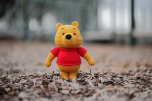 Winnie the Pooh