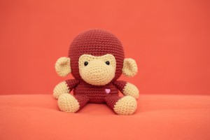 Randy the Monkey