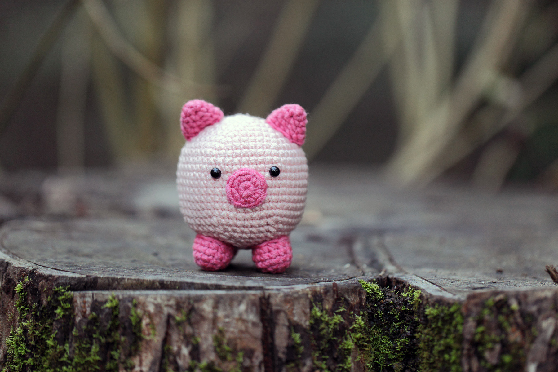 Little Pink Piggy