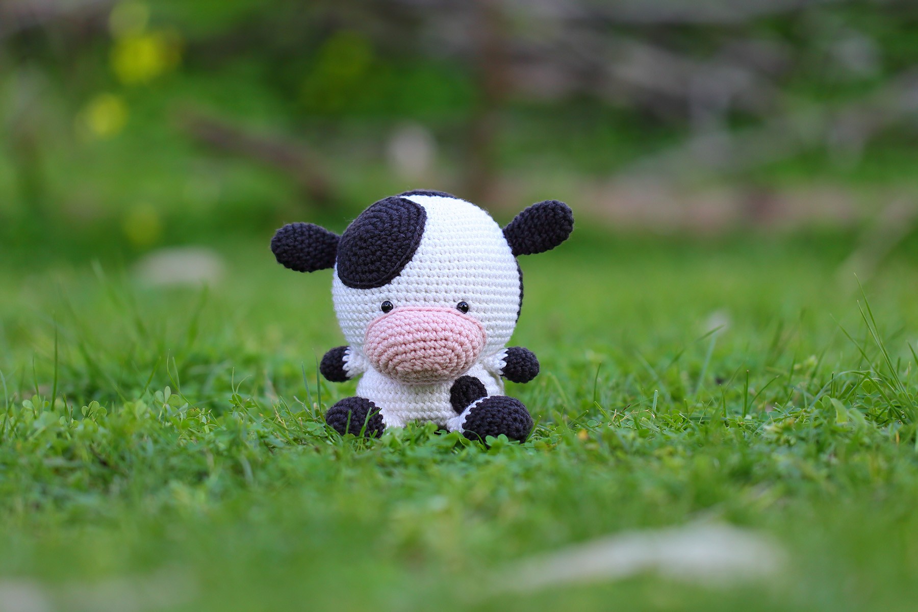 Daisy the Cow