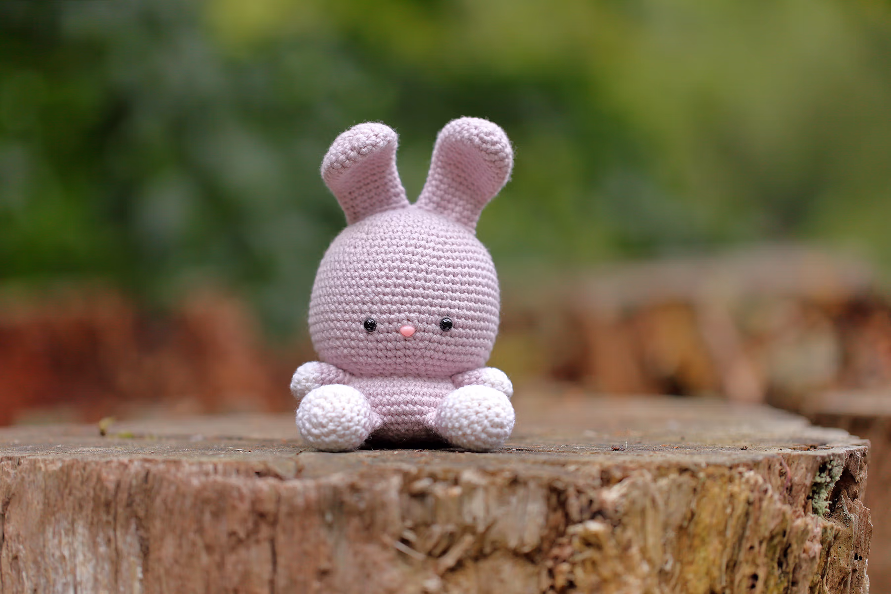 Ruby the Rabbit